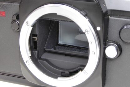 Nikon F301 mirror and focus screen