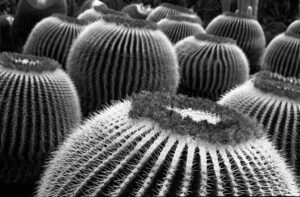 Sample Shot with Shanghai 100