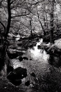 SAMPLE Derbyshire Moors 50mm Ilford HP5