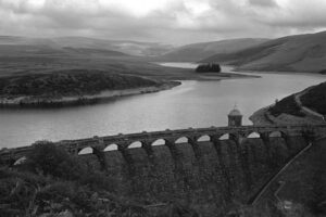 SAMPLE PIC USING THIS LENS