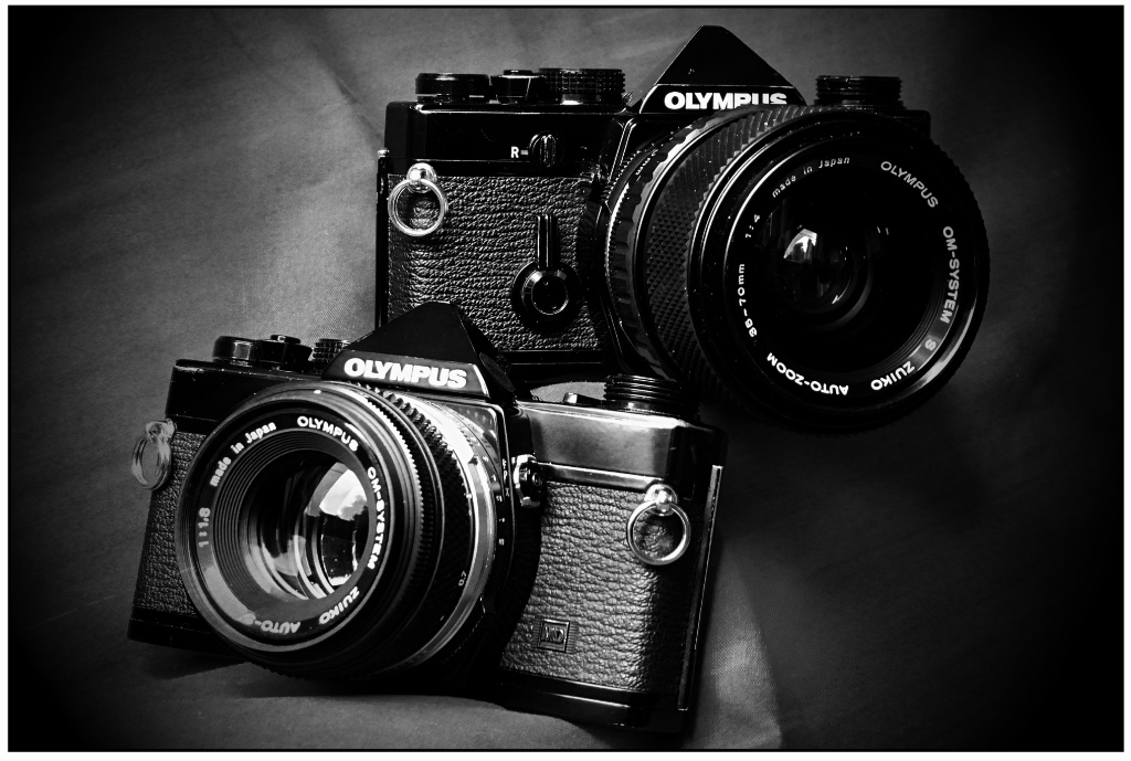 Olympus OM1 cameras